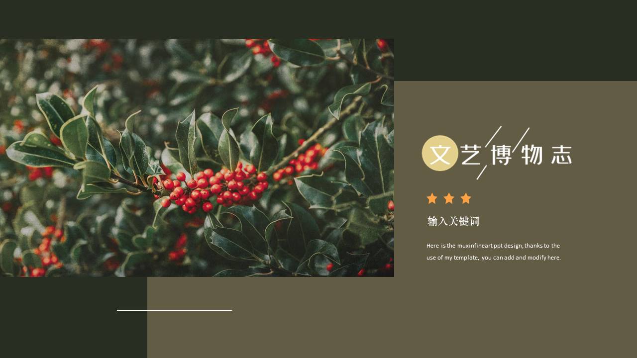 旅游画册 (46).pptx